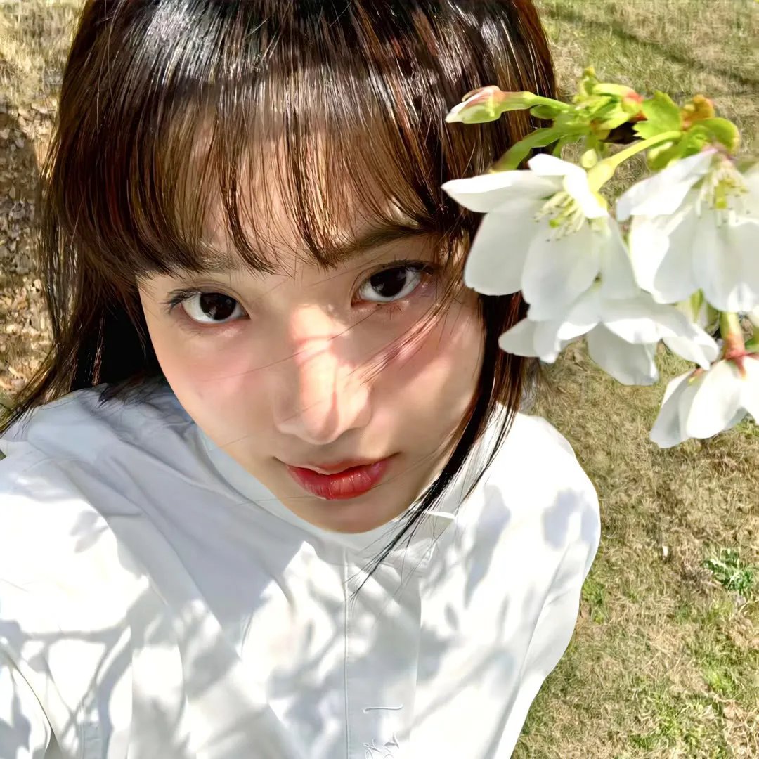 犹太狮子